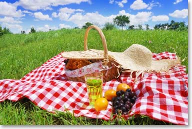 Picnic